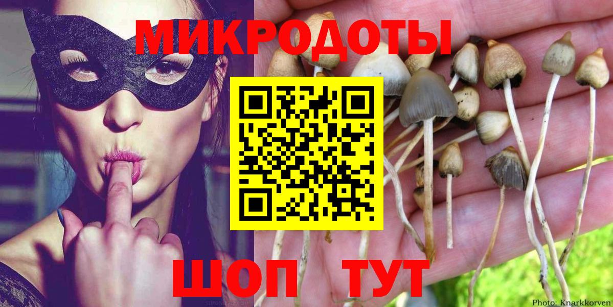Псилоцибиновые грибы MAGIC MUSHROOMS  Вход с VPN  Златоуст 
